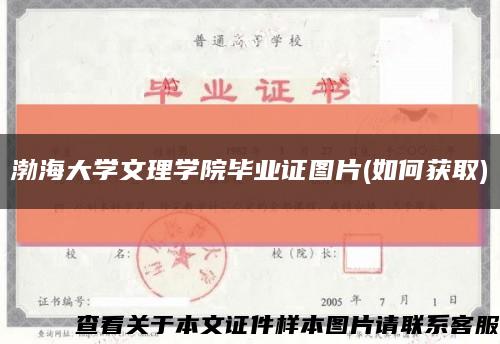 渤海大學文理學院畢業證圖片(如何獲取)縮略圖