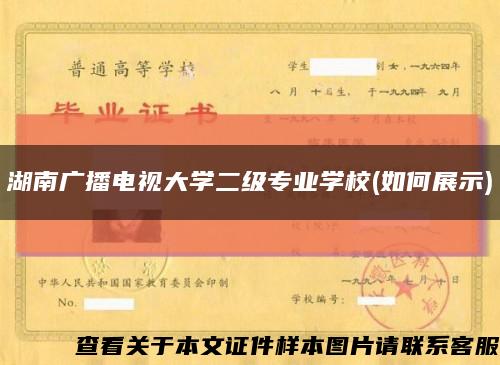 湖南廣播電視大學二級專業學校(如何展示)縮略圖