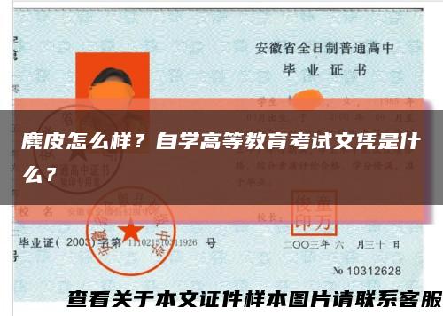 麂皮怎么樣？自學高等教育考試文憑是什么？縮略圖