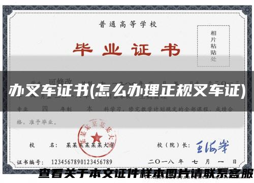 辦叉車證書(怎么辦理正規叉車證)縮略圖