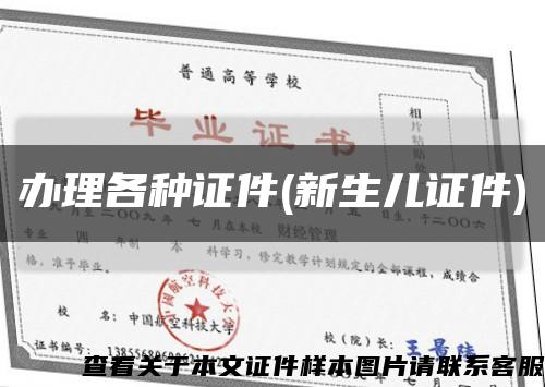 辦理各種證件(新生兒證件)縮略圖