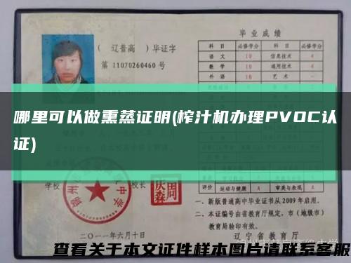 哪里可以做熏蒸證明(榨汁機辦理PVOC認證)縮略圖