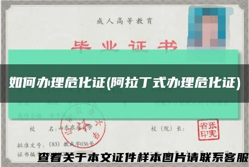 如何辦理?；C(阿拉丁式辦理?；C)縮略圖