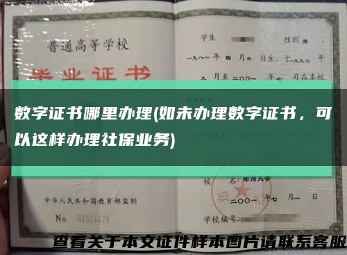 數字證書哪里辦理(如未辦理數字證書，可以這樣辦理社保業務)縮略圖