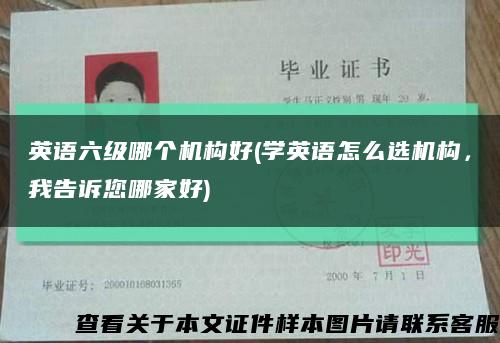 英語六級哪個機構好(學英語怎么選機構，我告訴您哪家好)縮略圖