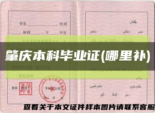 肇慶本科畢業證(哪里補)縮略圖