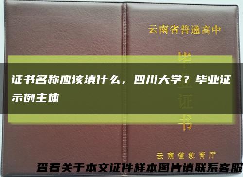 證書名稱應該填什么，四川大學？畢業證示例主體縮略圖
