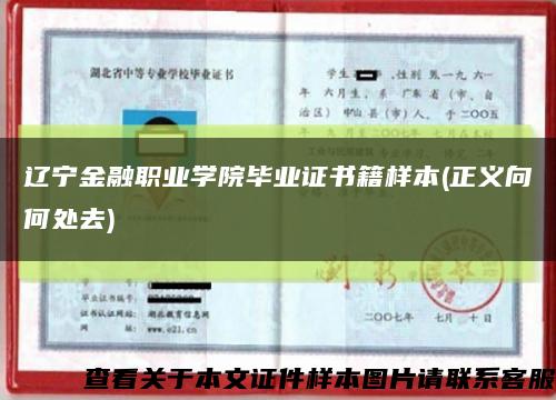 遼寧金融職業學院畢業證書籍樣本(正義向何處去)縮略圖