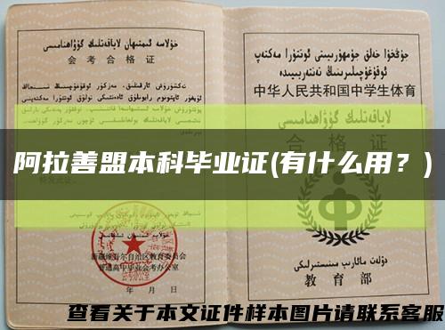 阿拉善盟本科畢業證(有什么用？)縮略圖