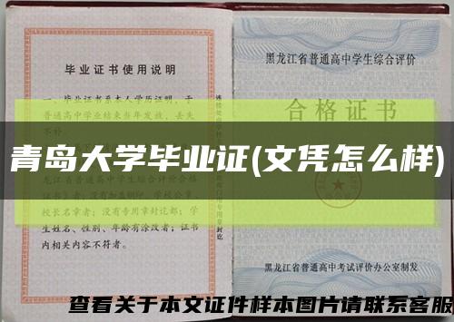 青島大學畢業證(文憑怎么樣)縮略圖
