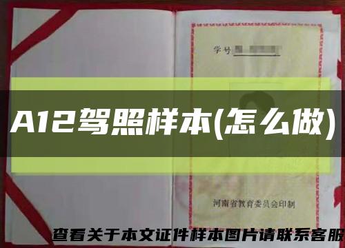 A12駕照樣本(怎么做)縮略圖