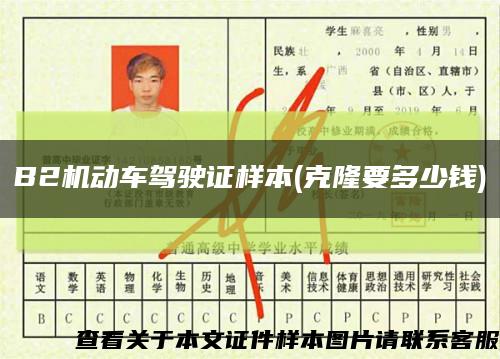 B2機動車駕駛證樣本(克隆要多少錢)縮略圖