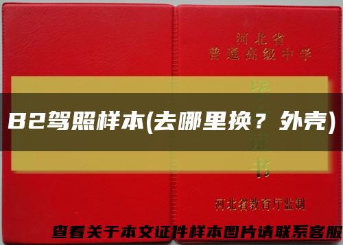 B2駕照樣本(去哪里換？外殼)縮略圖