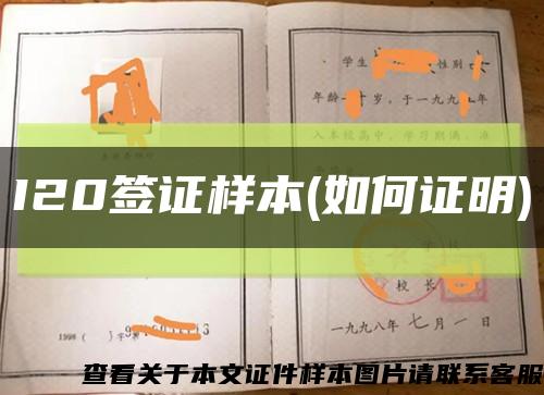 I20簽證樣本(如何證明)縮略圖