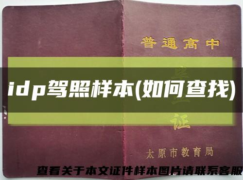 idp駕照樣本(如何查找)縮略圖