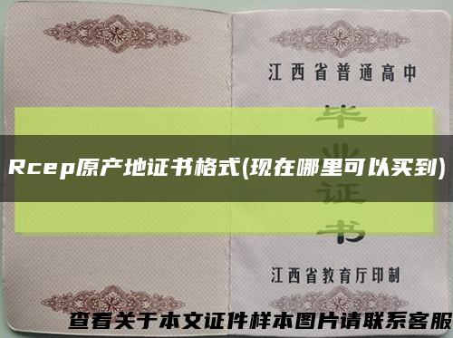 Rcep原產地證書格式(現在哪里可以買到)縮略圖