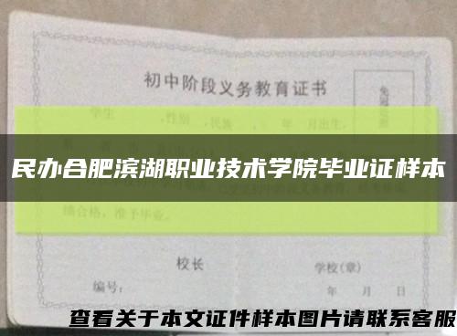 民辦合肥濱湖職業技術學院畢業證樣本縮略圖