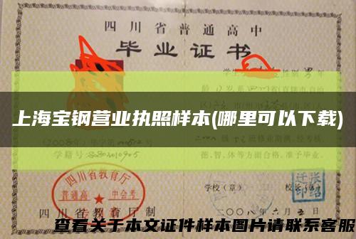 上海寶鋼營業執照樣本(哪里可以下載)縮略圖