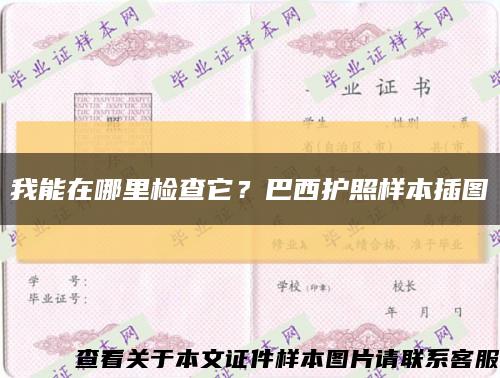 我能在哪里檢查它？巴西護照樣本插圖縮略圖