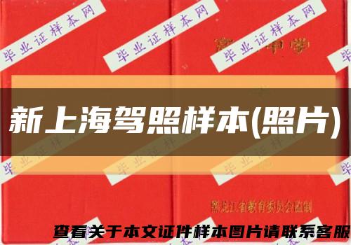 新上海駕照樣本(照片)縮略圖