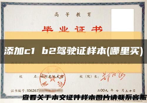 添加c1 b2駕駛證樣本(哪里買)縮略圖