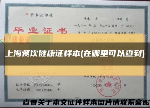 上海餐飲健康證樣本(在哪里可以查到)縮略圖