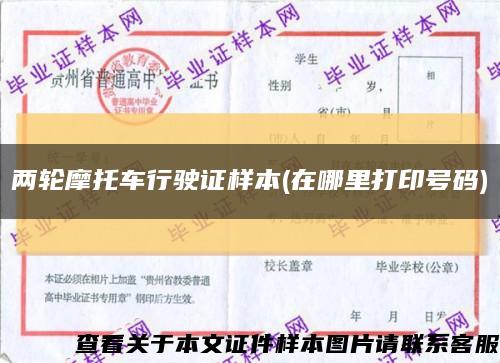 兩輪摩托車行駛證樣本(在哪里打印號碼)縮略圖