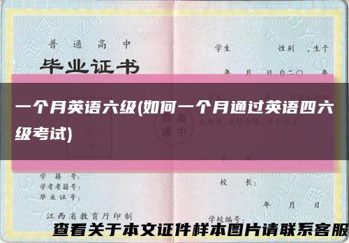 一個月英語六級(如何一個月通過英語四六級考試)縮略圖