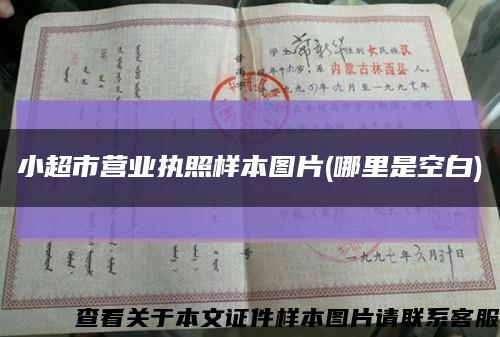 小超市營業執照樣本圖片(哪里是空白)縮略圖