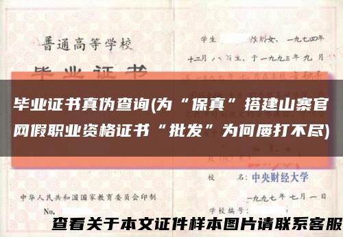 畢業證書真偽查詢(為“保真”搭建山寨官網假職業資格證書“批發”為何屢打不盡)縮略圖