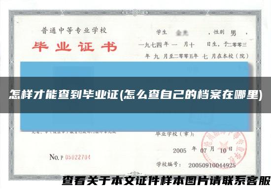 怎樣才能查到畢業證(怎么查自己的檔案在哪里)縮略圖