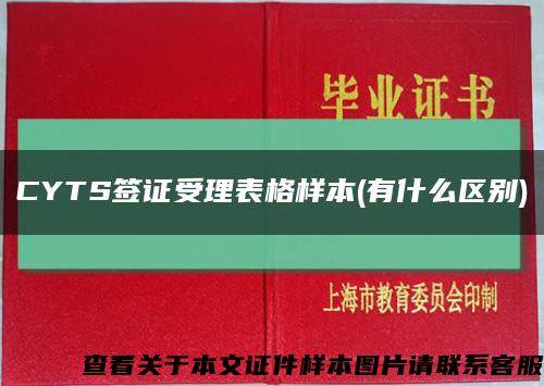 CYTS簽證受理表格樣本(有什么區別)縮略圖