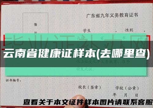 云南省健康證樣本(去哪里查)縮略圖