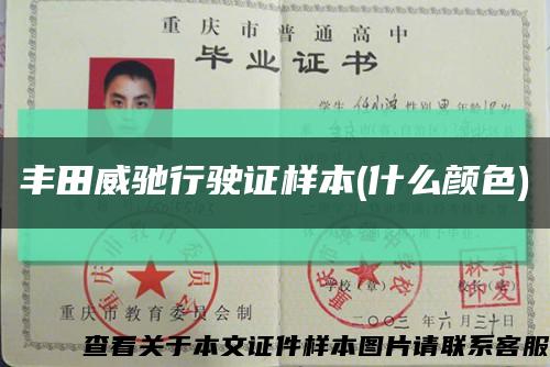 豐田威馳行駛證樣本(什么顏色)縮略圖