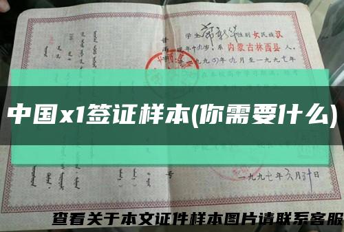 中國x1簽證樣本(你需要什么)縮略圖