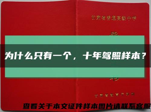 為什么只有一個，十年駕照樣本？縮略圖