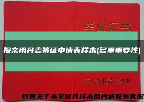 探親用丹麥簽證申請表樣本(多重重要性)縮略圖