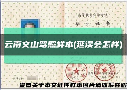 云南文山駕照樣本(延誤會怎樣)縮略圖