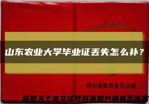 山東農業大學畢業證丟失怎么補？縮略圖