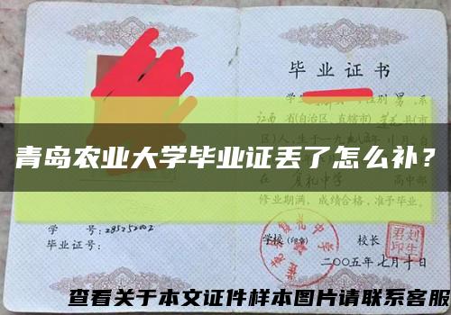 青島農業大學畢業證丟了怎么補？縮略圖