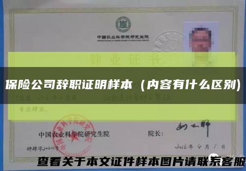 保險公司辭職證明樣本（內容有什么區別)縮略圖