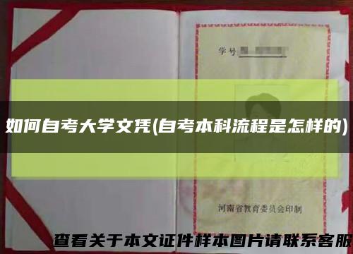 如何自考大學文憑(自考本科流程是怎樣的)縮略圖