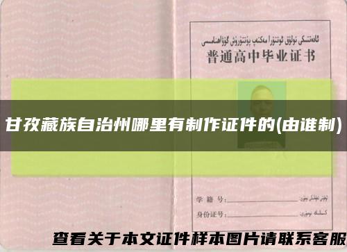 甘孜藏族自治州哪里有制作證件的(由誰制)縮略圖