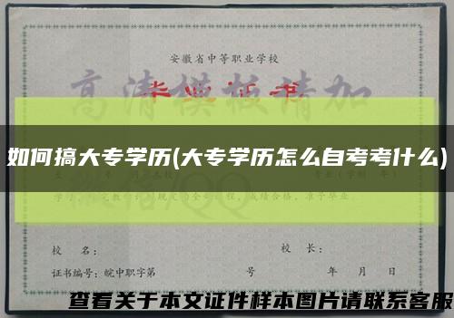 如何搞大專學歷(大專學歷怎么自考考什么)縮略圖