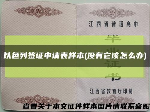 以色列簽證申請表樣本(沒有它該怎么辦)縮略圖