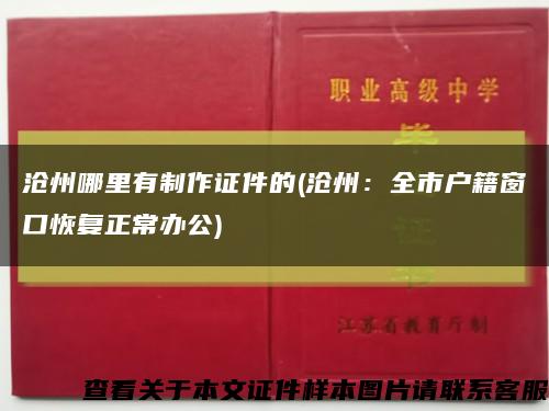 滄州哪里有制作證件的(滄州：全市戶籍窗口恢復正常辦公)縮略圖