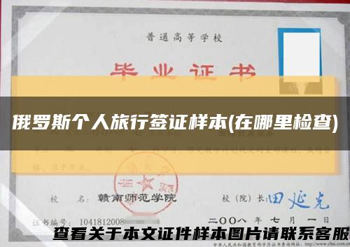俄羅斯個人旅行簽證樣本(在哪里檢查)縮略圖