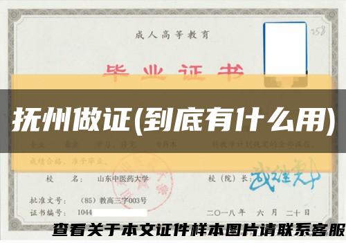 撫州做證(到底有什么用)縮略圖