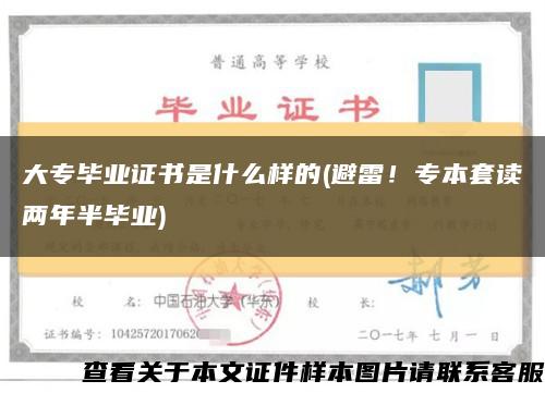 大專畢業證書是什么樣的(避雷！專本套讀兩年半畢業)縮略圖