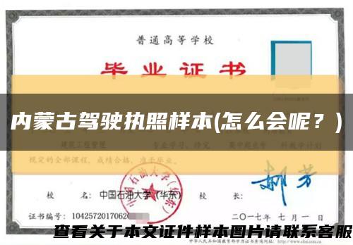 內蒙古駕駛執照樣本(怎么會呢？)縮略圖